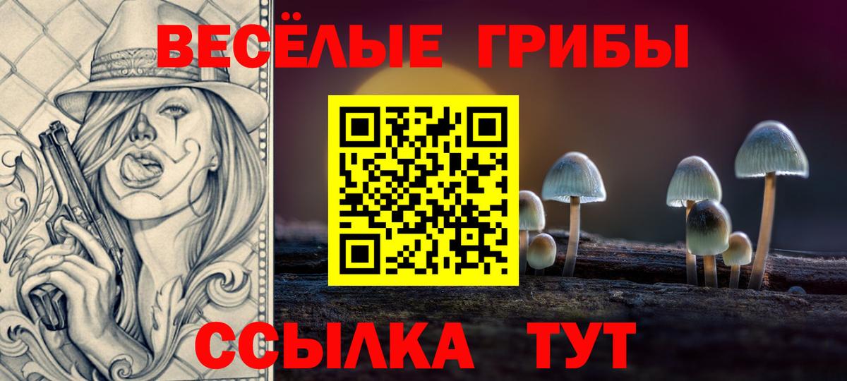 Галлюциногенные грибы прущие грибы  Вход с VPN  Псилоцибиновые грибы ЛСД  Черкесск 