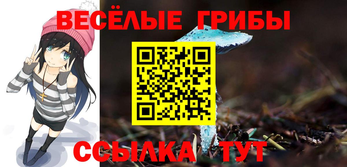 Псилоцибиновые грибы Cubensis Черкесск